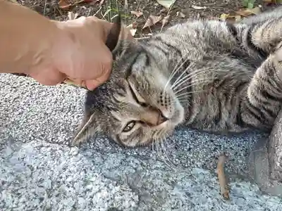 海南神社(神奈川県)