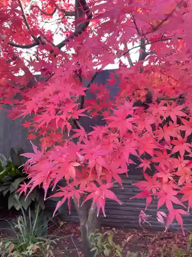 伊勢山皇大神宮(神奈川県)