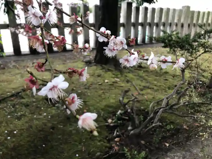 九所御霊天神社の庭園