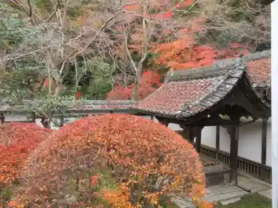 毘沙門堂門跡のその他建物