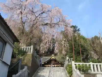 毛谷黒龍神社(福井県)