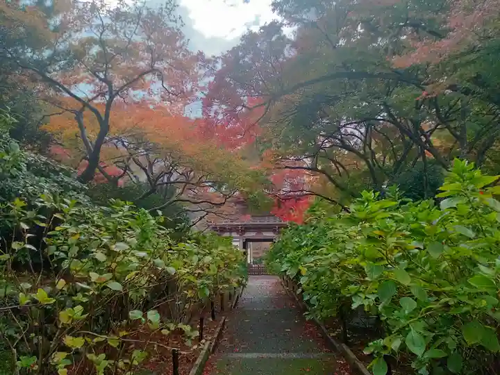 久安寺(大阪府)