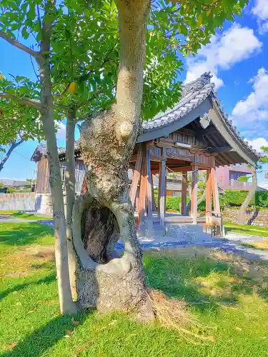 風之宮社の自然