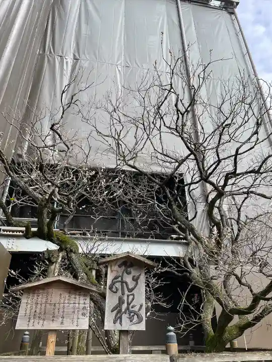 太宰府天満宮(福岡県)