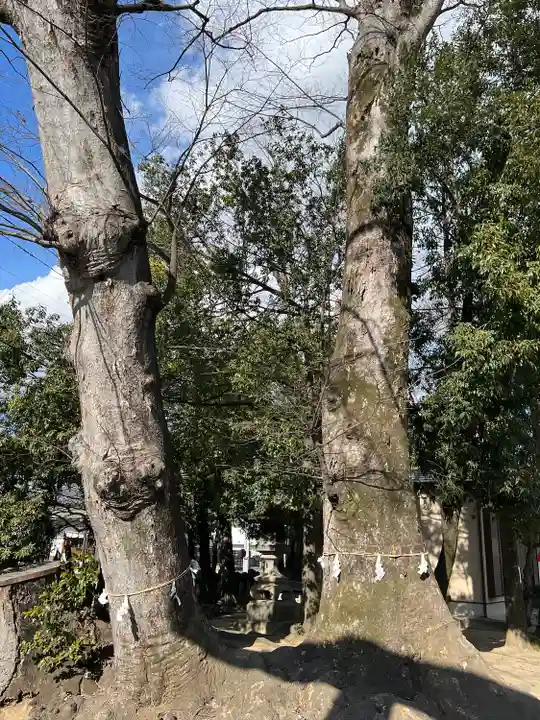 上野総社神社(群馬県)