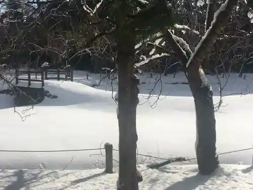 天津神社の景色