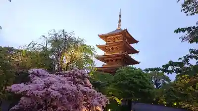 東寺(教王護国寺)の塔