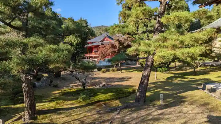 大覚寺(京都府)