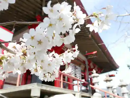 観音寺（善光寺大本願別院）の本殿