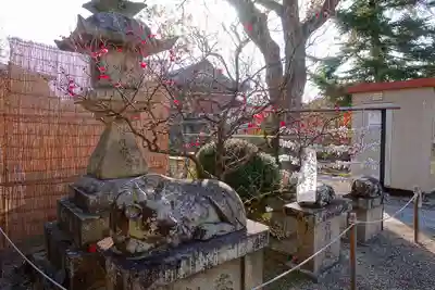 菅原天満宮(菅原神社)の狛犬