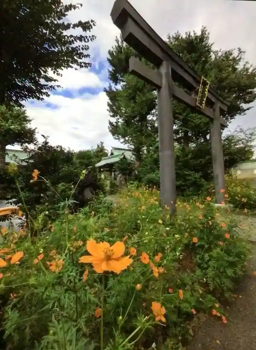 鷺宮八幡神社(東京都)