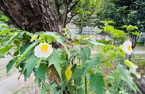 中田出世稲荷神社(東京都)
