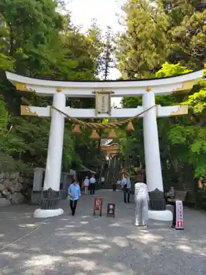 宝登山神社(埼玉県)