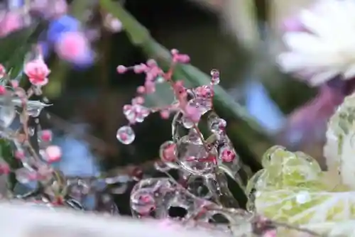 豊景神社の手水