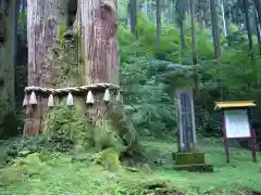 御岩神社の自然