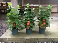 愛宕神社のその他建物