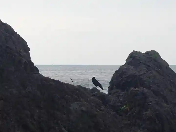 江島神社の動物