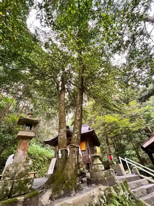 金持神社の{uncategorized: "未分類", other: "その他", undefined: "問題あり", building: "その他建物", grave: "お墓", sacred_gate: "鳥居", guardian: "狛犬", statue: "像", buddha: "仏像", history: "歴史", nature: "自然", garden: "庭園", animal: "動物", pagoda: "塔", temizu: "手水舎", mountain_gate: "山門・神門", sanctuary: "本殿・本堂", subordinate: "末社・摂社", art: "芸術", scenery: "景色", jizo: "地蔵", ema: "絵馬", goshuin: "御朱印", omikuji: "おみくじ", items: "授与品その他", amulet: "お守り", goshuincho: "御朱印帳", eats: "食事", festival: "お祭り", votive_dance: "神楽", shichigosan: "七五三参", wedding: "結婚式", experience: "体験その他", initially: "初詣", around: "周辺", anti_infection: "感染症対策"}