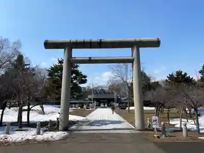 札幌護國神社の鳥居