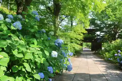 陽林寺(福島県)