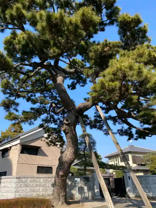 国土安穏寺の{uncategorized: "未分類", other: "その他", undefined: "問題あり", building: "その他建物", grave: "お墓", sacred_gate: "鳥居", guardian: "狛犬", statue: "像", buddha: "仏像", history: "歴史", nature: "自然", garden: "庭園", animal: "動物", pagoda: "塔", temizu: "手水舎", mountain_gate: "山門・神門", sanctuary: "本殿・本堂", subordinate: "末社・摂社", art: "芸術", scenery: "景色", jizo: "地蔵", ema: "絵馬", goshuin: "御朱印", omikuji: "おみくじ", items: "授与品その他", amulet: "お守り", goshuincho: "御朱印帳", eats: "食事", festival: "お祭り", votive_dance: "神楽", shichigosan: "七五三参", wedding: "結婚式", experience: "体験その他", initially: "初詣", around: "周辺", anti_infection: "感染症対策"}