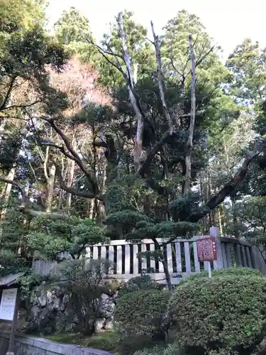 彌彦神社の庭園