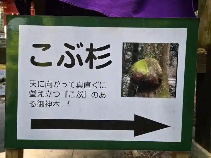 花園神社(茨城県)
