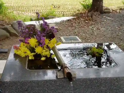 高司神社〜むすびの神の鎮まる社〜の手水