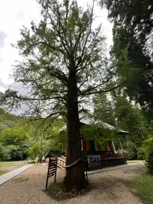 西光寺(宮城県)