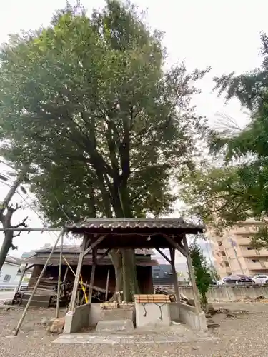 三栖神社(京都府)