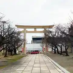 大阪護國神社の鳥居