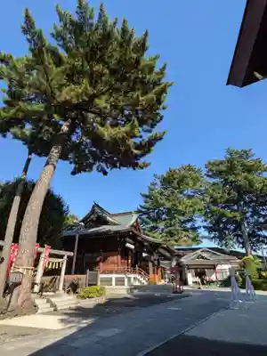 中野沼袋氷川神社(東京都)