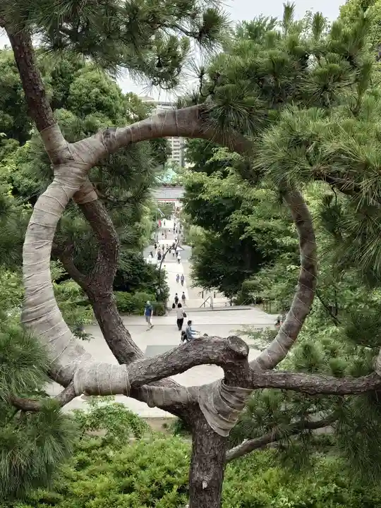 清水観音堂(東京都)