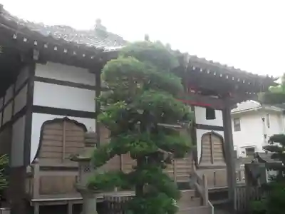 来迎寺（材木座）の本殿・本堂