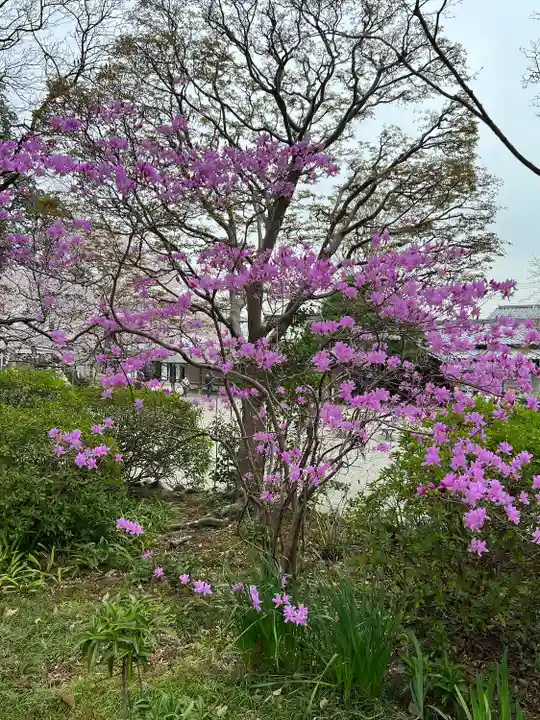 高麗神社(埼玉県)