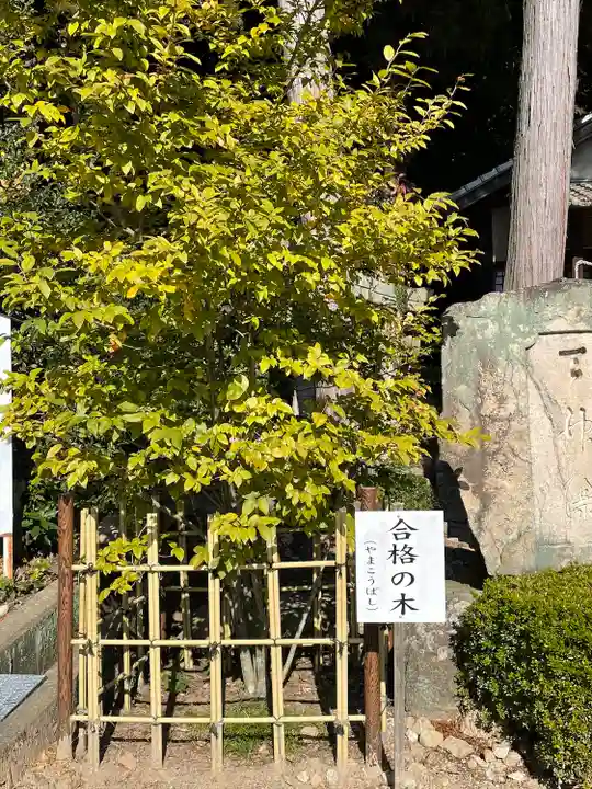 尾長天満宮の自然