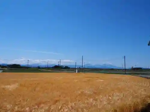 下野 星宮神社の周辺