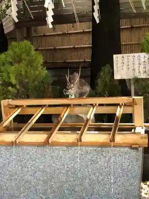 東京大神宮の手水舎