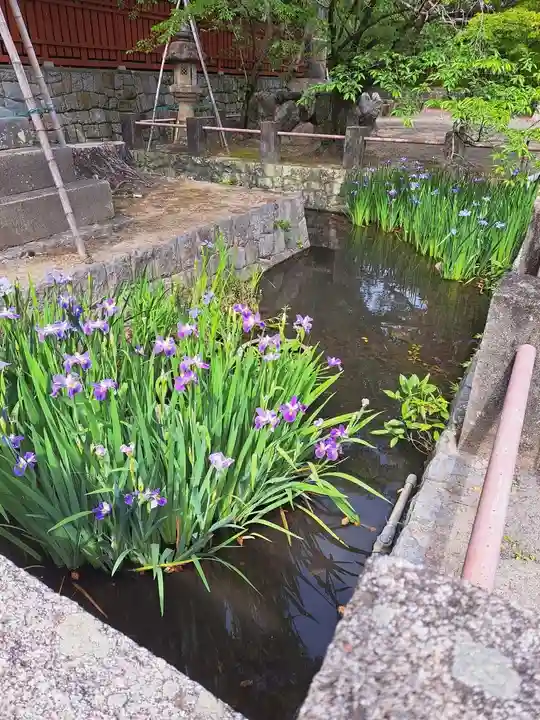 津島神社(愛知県)