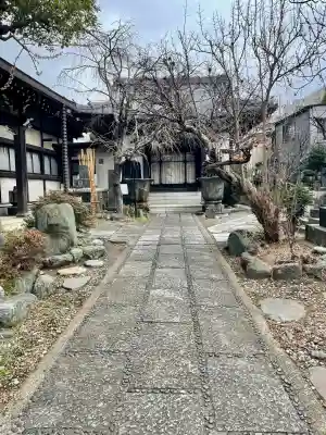本寿寺の{uncategorized: "未分類", other: "その他", undefined: "問題あり", building: "その他建物", grave: "お墓", sacred_gate: "鳥居", guardian: "狛犬", statue: "像", buddha: "仏像", history: "歴史", nature: "自然", garden: "庭園", animal: "動物", pagoda: "塔", temizu: "手水舎", mountain_gate: "山門・神門", sanctuary: "本殿・本堂", subordinate: "末社・摂社", art: "芸術", scenery: "景色", jizo: "地蔵", ema: "絵馬", goshuin: "御朱印", omikuji: "おみくじ", items: "授与品その他", amulet: "お守り", goshuincho: "御朱印帳", eats: "食事", festival: "お祭り", votive_dance: "神楽", shichigosan: "七五三参", wedding: "結婚式", experience: "体験その他", initially: "初詣", around: "周辺", anti_infection: "感染症対策"}