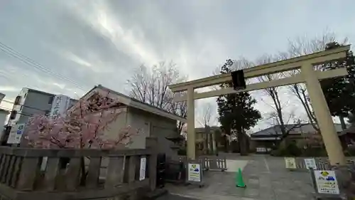 阿豆佐味天神社 立川水天宮の鳥居