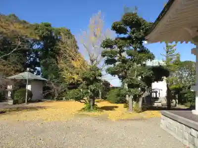香園寺(愛媛県)