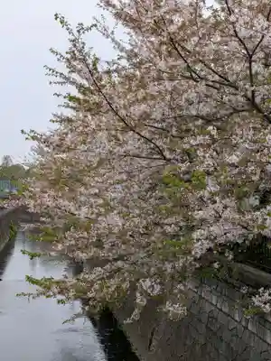 東光寺(東京都)