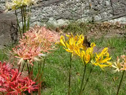 横浜　西方寺の自然