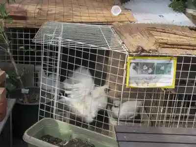 榮久山大法寺(東京都)