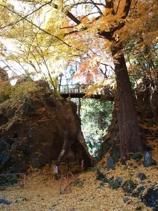 行道山 浄因寺(栃木県)