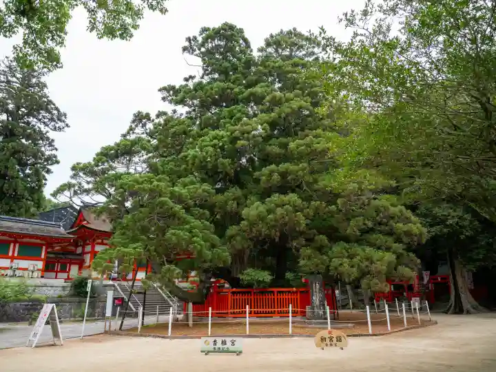 香椎宮(福岡県)