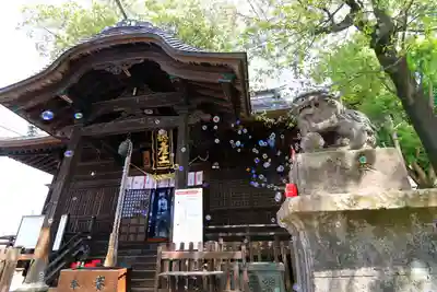 阿邪訶根神社の本殿・本堂