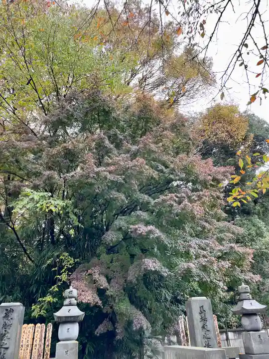 大正寺(東京都)