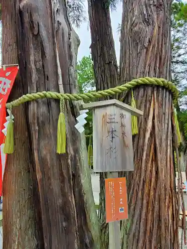 建部大社の自然